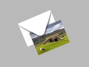 To buy a print or any of the below please click on the images